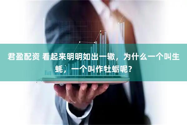 君盈配资 看起来明明如出一辙，为什么一个叫生蚝，一个叫作牡蛎呢？