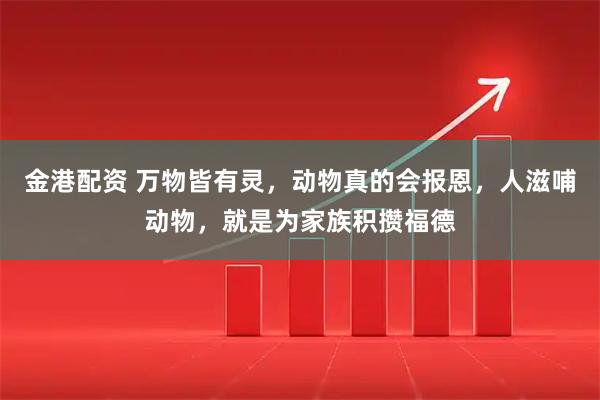 金港配资 万物皆有灵，动物真的会报恩，人滋哺动物，就是为家族积攒福德